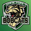 New York Bobcats