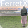 The Artwork of FerretX