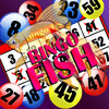 Bingo Fish HD
