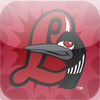 Great Lakes Loons Boomaphone