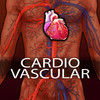 CardioVascular System