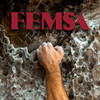 FEMSA 2013 Informe Anual