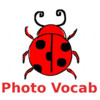 Vocab Photo : Sight Words from Pictures