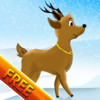 Reindeer Race and Jump agility obstacle course : Training for Christmas Day - Free