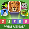 Guess what? Animal quiz - Popular Animals in the world