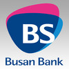 BusanBank 2011 Annual Report