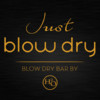 Just Blow Dry