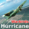 Warbirds Hurricane (lite)