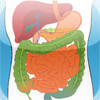 Biology: Digestion