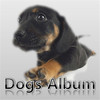 Dogs Album