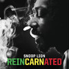 Snoop Lion's Reincarnated: Track Notes App (Citia)