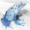 Poison Frog Gallery (Free)