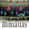 Miniatlas Age-related macular degeneration
