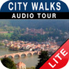Charming Heidelberg Tour (Lite Version)