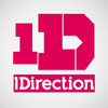 One Direction - The Directioner's Guide