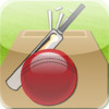 Cricket Record 2011