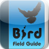 BirdFielduideHD
