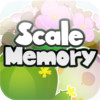 Scale Memory