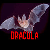 Dracula by Bram Stoker ebook