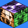 Dogs Rubix Cube