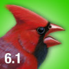 iBird North Guide to Birds