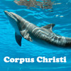 Corpus Christi Attractions