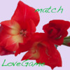 Love Game_matching