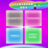 Funsound Box