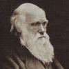 Charles Darwin Collection (Voyage of Beagle,Origin of Species, Descent of Man)