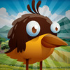 Baby Bird Runner - Family Fun Pet Run Game