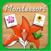 Parts of Plants - A Montessori Approach To Botany HD