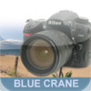 Blue Crane Digital's Introduction to the Nikon D7000 : Basic Controls