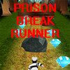Prison Break Runner