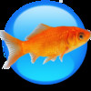 Goldfish 3 Professional Edition