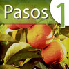Learn Spanish Lab: Pasos 1