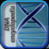 DNA Enc HD