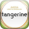 Tangerine Aveda Lifestyle Salon