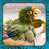 guess tiny flying bird or not ? - a close up flappy free animals trivia quiz games