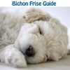 Bichon Frise Guide#