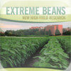 Extreme Beans
