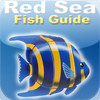 Red Sea Fish id