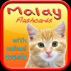 Malay Flashcards