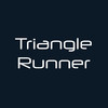 Triangle Runner