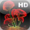 Herbarium HD
