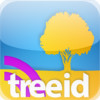 Tree ID - TreeID with Fall Foliage