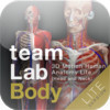 teamLabBody -3D Motion Human Anatomy Lite (Head and Neck)-