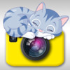 Cat Snap - Photo Bomb Funny Cats Instantly Into Your Photos With Kitty Collage & Picture Frames HD