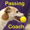Flyball Passing Coach