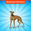Greyhound UK Races