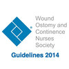 Evidence-Based Wound Care Guidelines and Fecal Ostomy Best Practice